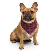 Burgundy Daisy