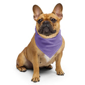 Coachella Lavender