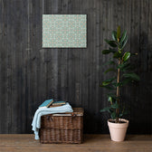 Mint Botanical